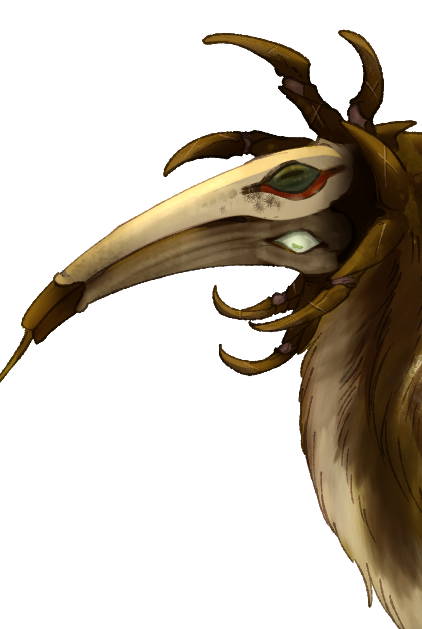 Headshot of Verlam Walkerwyrm