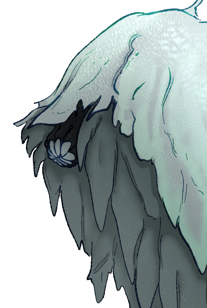 Headshot of Silénlae Horse