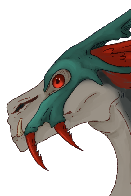 Headshot of Bjorn’orta