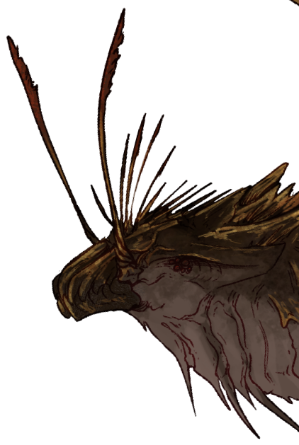 Headshot of Xorîla Druhtar