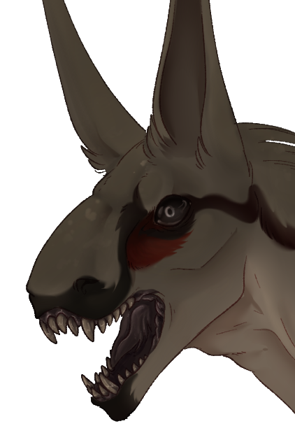 Headshot of Dronterya