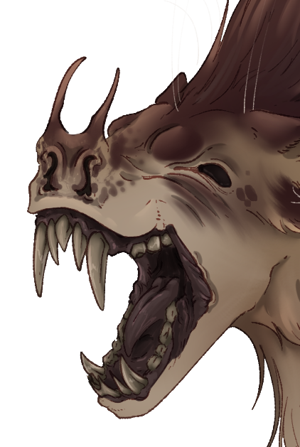 Headshot of Nʐenàgier