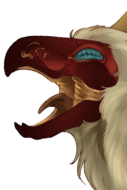 Headshot of Bjorn’orta